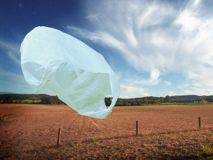 Conservatives Back Biodegradable Carrier Bags