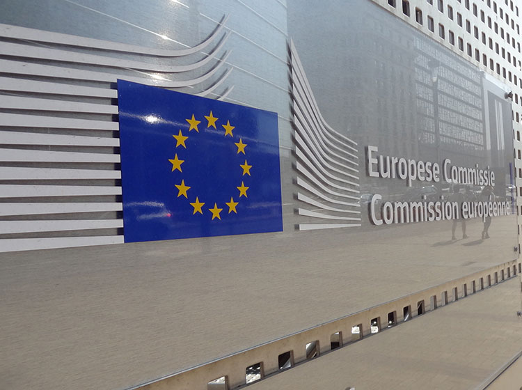 European Commission ignores own report